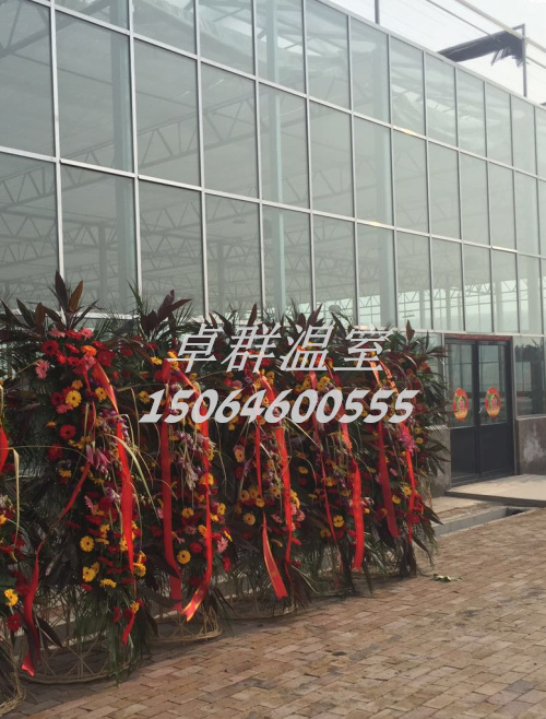 天津西青區(qū)新品種展示溫室.jpg