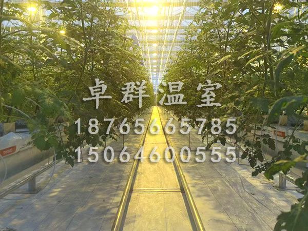 無(wú)土栽培